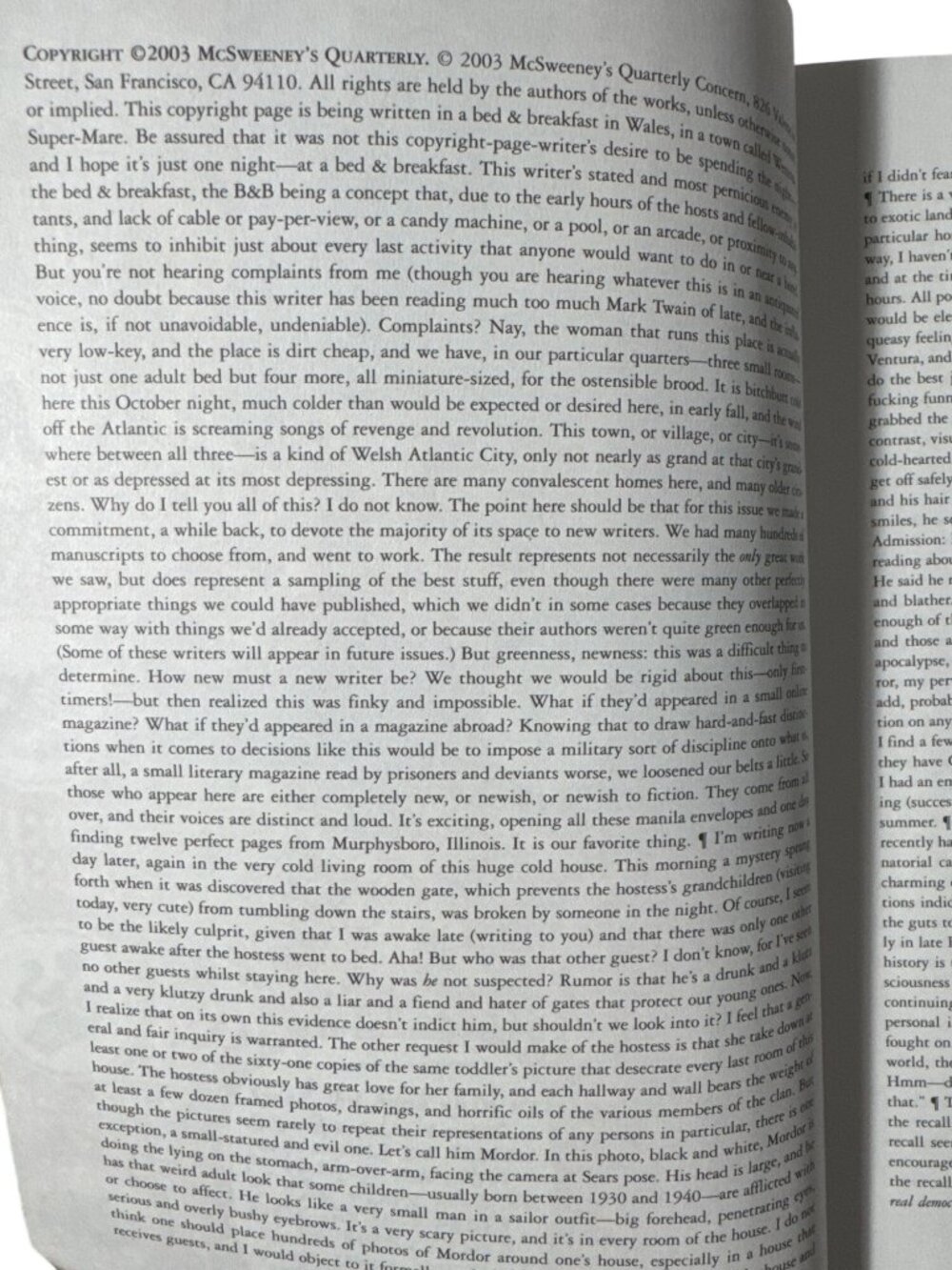 McSweeneys Quarterly Concern Issue 12 First edition 2003 SC Stories Essays Vtg - Picture 2 of 12